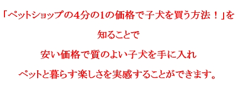 koinulogo1.jpg